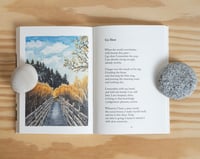 Image 4 of Serpentine by Tara K. Shepersky & Lucy Bellwood